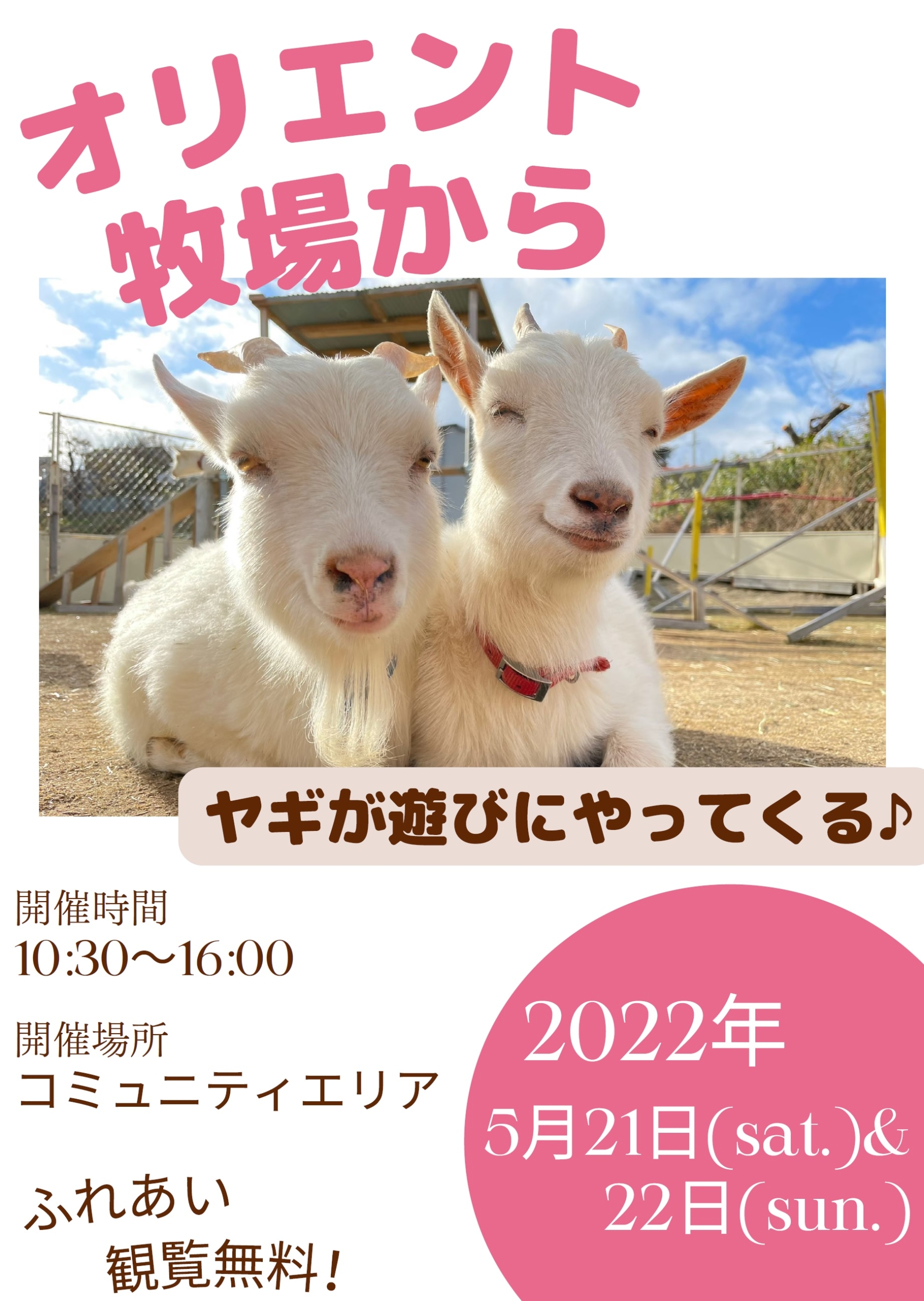 5月21日 土 5月22日 日 オリエント牧場からヤギが遊びにやってくる Sennan Long Park 泉南りんくう公園