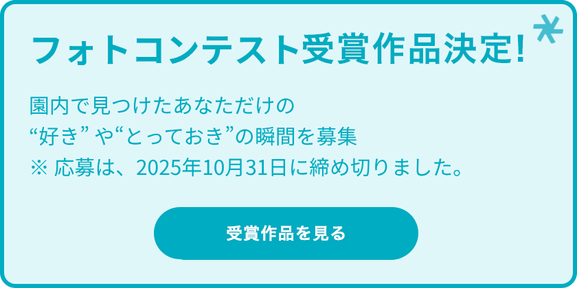 公園フォトコンテスト